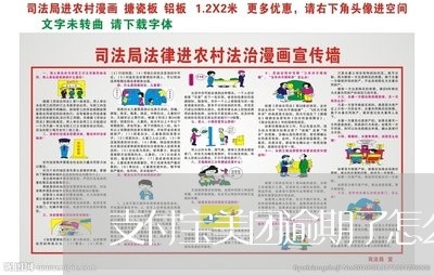 支付宝美团逾期了怎么还款/2023060454715