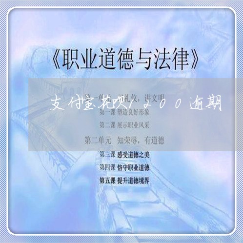 支付宝花呗1200逾期/2023020940934