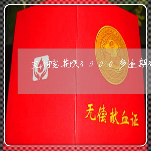 支付宝花呗3000多逾期3年/2023030137241 支付宝花呗3000多逾期3年/2023030137241