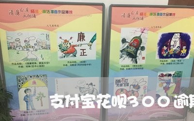 支付宝花呗300逾期/2023030168403