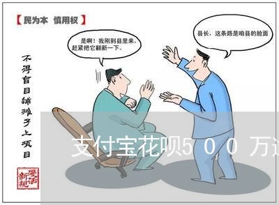 支付宝花呗500万逾期/2023030174037
