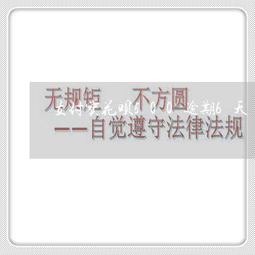 支付宝花呗500逾期6天/2023022485250