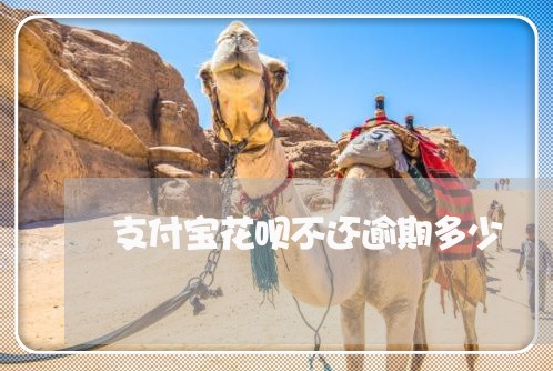 支付宝花呗不还逾期多少/2023012935048