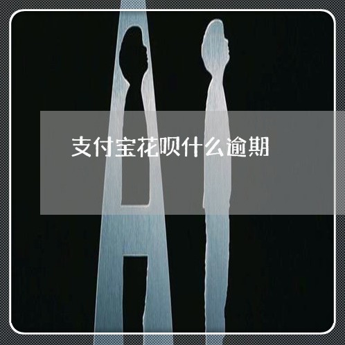 支付宝花呗什么逾期/2023030160827