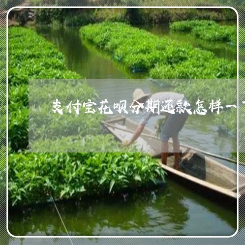 支付宝花呗分期还款怎样一下子还 支付宝花呗分期还款怎样一下子还