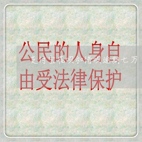 支付宝花呗和借呗逾期七万/2023022417261