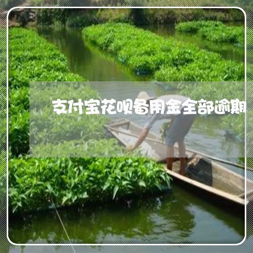 支付宝花呗备用金全部逾期/2023030102838 支付宝花呗备用金全部逾期/2023030102838