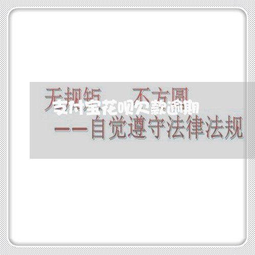 支付宝花呗欠款逾期/2023030101325 支付宝花呗欠款逾期/2023030101325