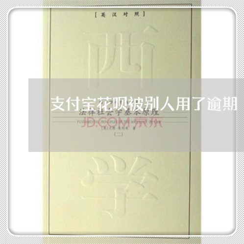 支付宝花呗被别人用了逾期/2023030152624