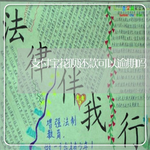 支付宝花呗还款可以逾期吗/2023022840616