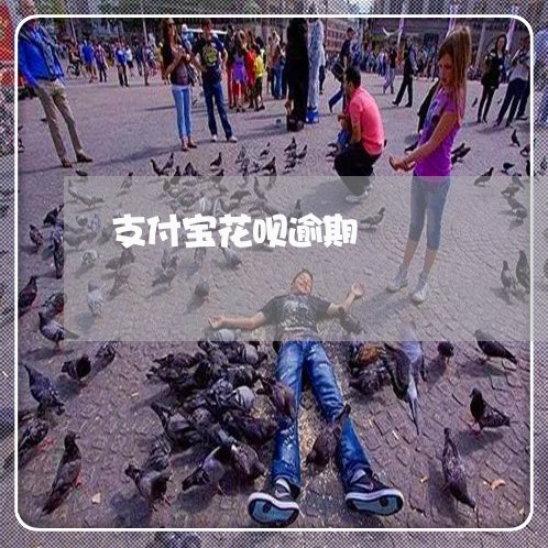 支付宝花呗逾期/2023030176370