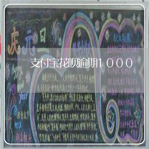 支付宝花呗逾期1000/2023100794825