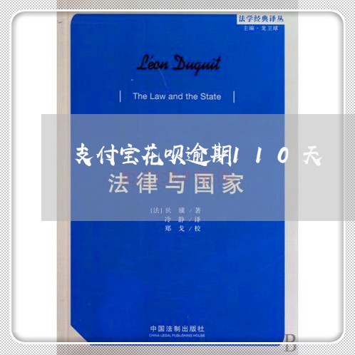 支付宝花呗逾期110天/2023022440594 支付宝花呗逾期110天/2023022440594