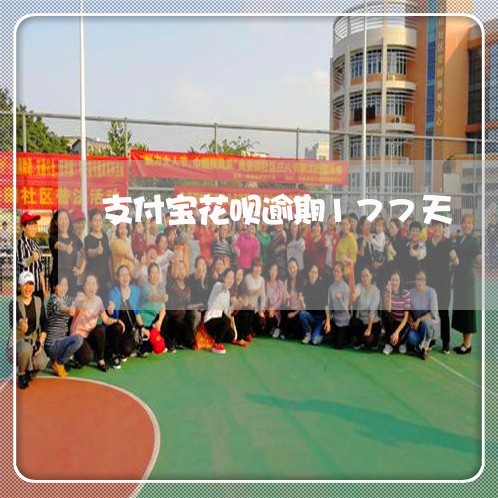 支付宝花呗逾期177天/2023022452614 支付宝花呗逾期177天/2023022452614