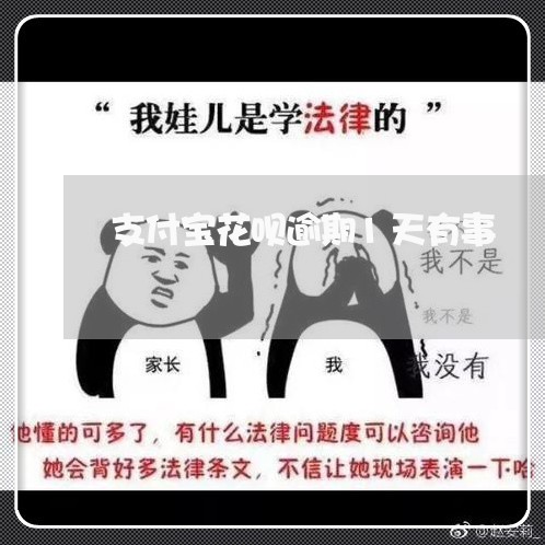 支付宝花呗逾期1天有事/2023012994947 支付宝花呗逾期1天有事/2023012994947