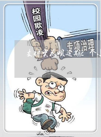 支付宝花呗逾期2个小时/2023030287268 支付宝花呗逾期2个小时/2023030287268