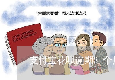 支付宝花呗逾期3个月以上/2023030281738