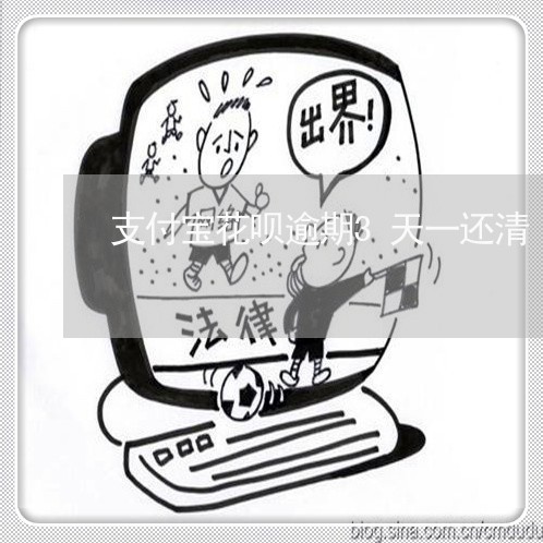 支付宝花呗逾期3天一还清/2023030136140 支付宝花呗逾期3天一还清/2023030136140