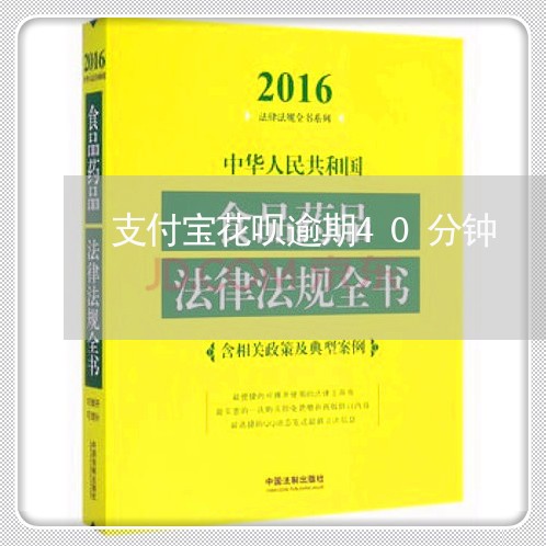 支付宝花呗逾期40分钟/2023071313151