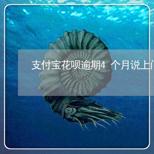 支付宝花呗逾期4个月说上门 支付宝花呗逾期4个月说上门