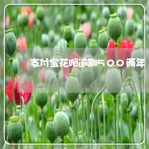 支付宝花呗逾期500两年/2023030106361
