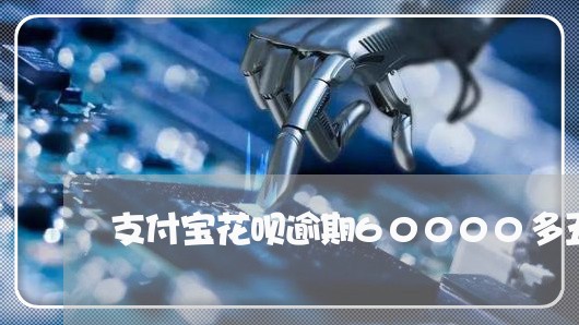 支付宝花呗逾期60000多五月了/2023061536259