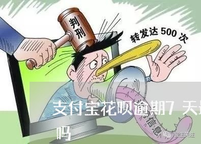 支付宝花呗逾期7天最低还款还了能直接用吗