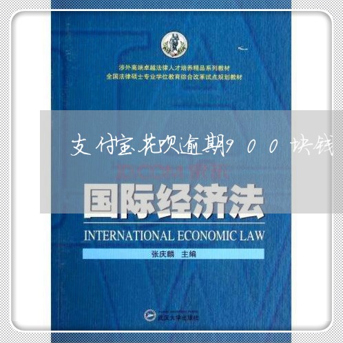 支付宝花呗逾期900块钱/2023030125827 支付宝花呗逾期900块钱/2023030125827