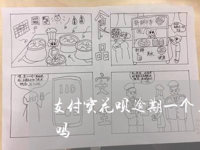 支付宝花呗逾期一个月还款后还能继续使用吗