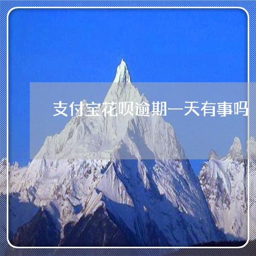 支付宝花呗逾期一天有事吗/2023022816159 支付宝花呗逾期一天有事吗/2023022816159