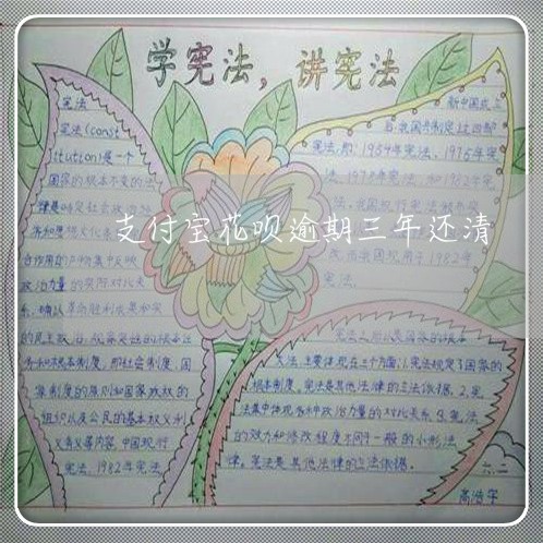 支付宝花呗逾期三年还清/2023030174047 支付宝花呗逾期三年还清/2023030174047