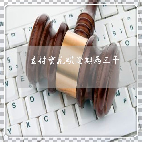 支付宝花呗逾期两三千/2023030105279 支付宝花呗逾期两三千/2023030105279