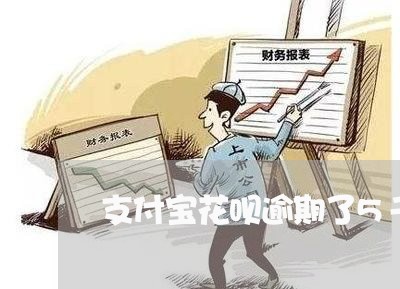 支付宝花呗逾期了5千多/2023100854480