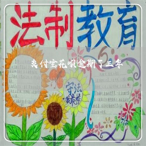 支付宝花呗逾期了三年/2023030138570