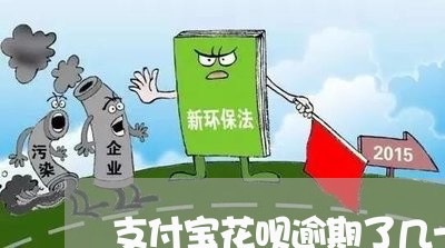 支付宝花呗逾期了几十块/2023012262927