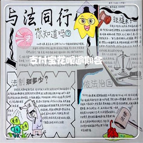 支付宝花呗逾期会/2023012174049 支付宝花呗逾期会/2023012174049