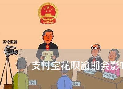 支付宝花呗逾期会影响教师政审吗/2023012798069