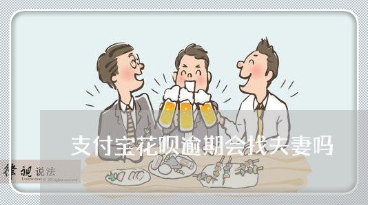 支付宝花呗逾期会找夫妻吗/2023022801403