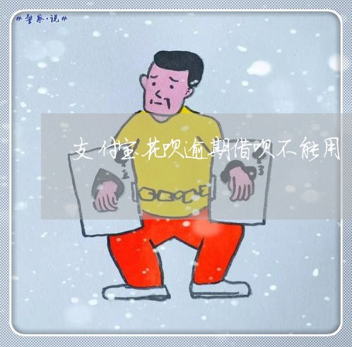 支付宝花呗逾期借呗不能用/2023013012716