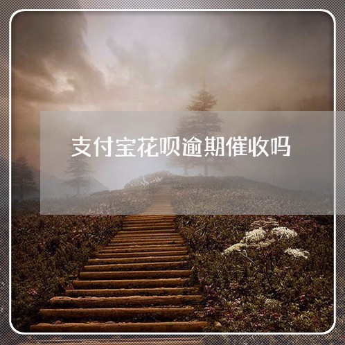 支付宝花呗逾期催收吗/2023022893926 支付宝花呗逾期催收吗/2023022893926