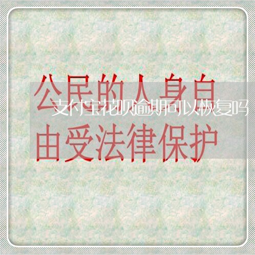 支付宝花呗逾期可以恢复吗/2023022828150