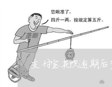 支付宝花呗逾期后多久能用/2023022524350 支付宝花呗逾期后多久能用/2023022524350
