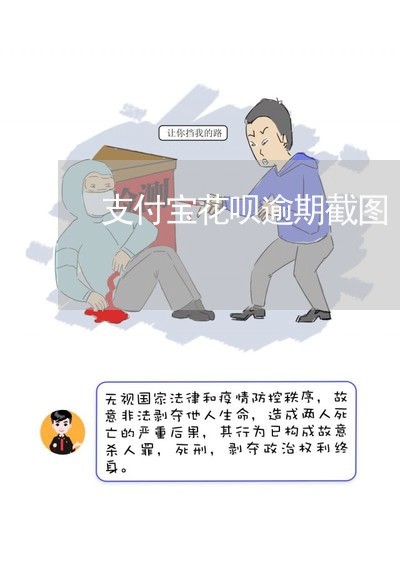 支付宝花呗逾期截图/2023022449381