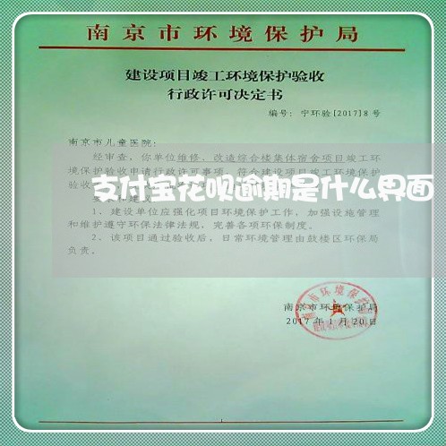 支付宝花呗逾期是什么界面/2023030191718 支付宝花呗逾期是什么界面/2023030191718