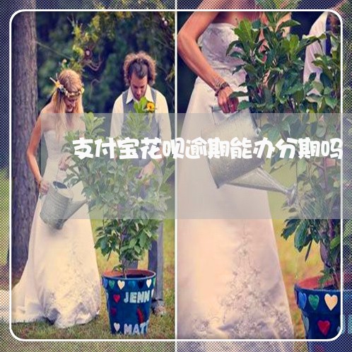 支付宝花呗逾期能办分期吗/2023022804938 支付宝花呗逾期能办分期吗/2023022804938