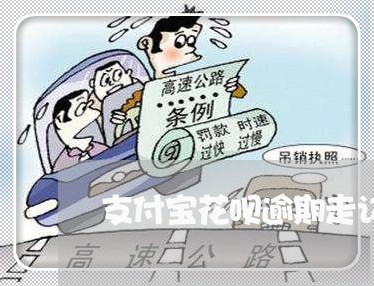 支付宝花呗逾期走访记录/2023022725160