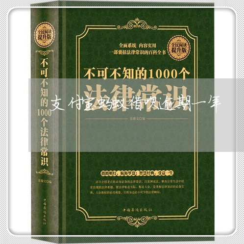 支付宝蚂蚁借呗逾期一年/2023012884947