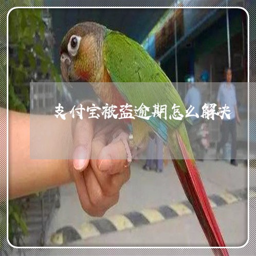 支付宝被盗逾期怎么解决/2023012226371
