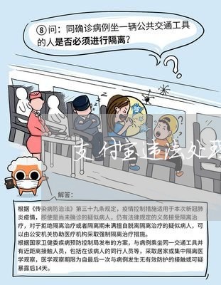 支付宝违法处理怎么查记录