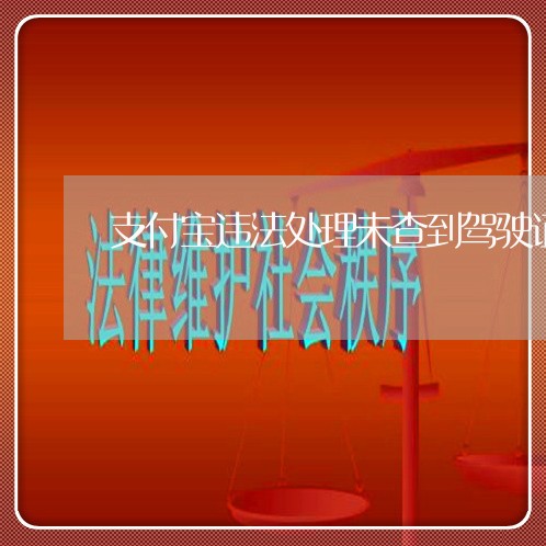 支付宝违法处理未查到驾驶证数据